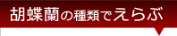 蘭の銘柄で選ぶ