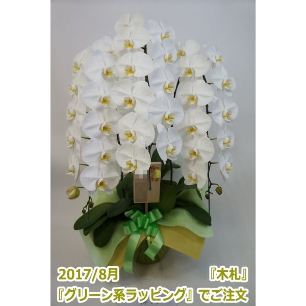 画像15: 【特価】胡蝶蘭 白 3本立ち 30輪前後（つぼみ含む）(花画像サービス付) (15)