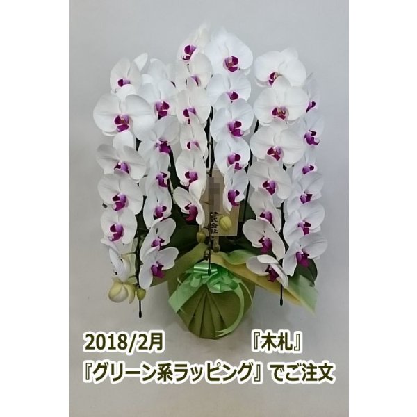 画像16: 胡蝶蘭 赤リップ 3本立ち 30輪前後(つぼみ含む)(花画像サービス付) (16)