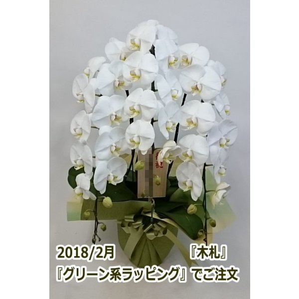 画像20: 【特価】胡蝶蘭 白 3本立ち 30輪前後（つぼみ含む）(花画像サービス付) (20)