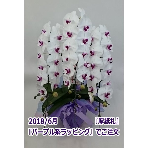 画像11: 胡蝶蘭 赤リップ 3本立ち 40輪前後(つぼみ含む)(花画像サービス付) (11)