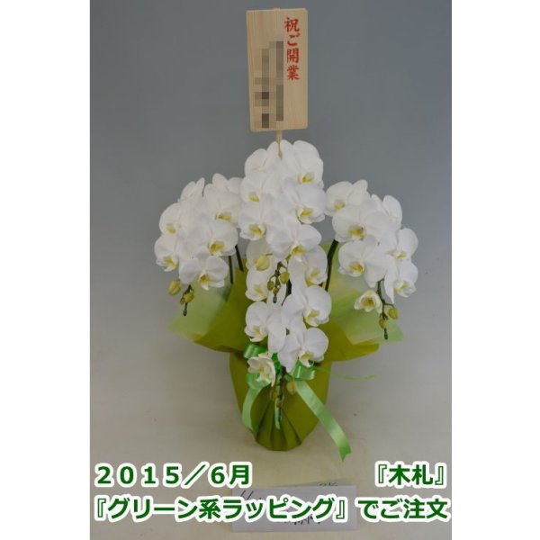 画像3: 胡蝶蘭 アマビリス(ミディ系)3本立ち以上 50cm前後(花画像サービス付) (3)