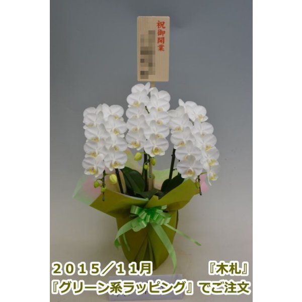 画像6: 胡蝶蘭 アマビリス(ミディ系)3本立ち以上 50cm前後(花画像サービス付) (6)